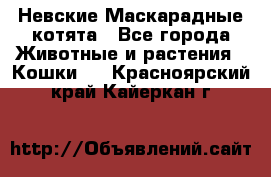 Невские Маскарадные котята - Все города Животные и растения » Кошки   . Красноярский край,Кайеркан г.